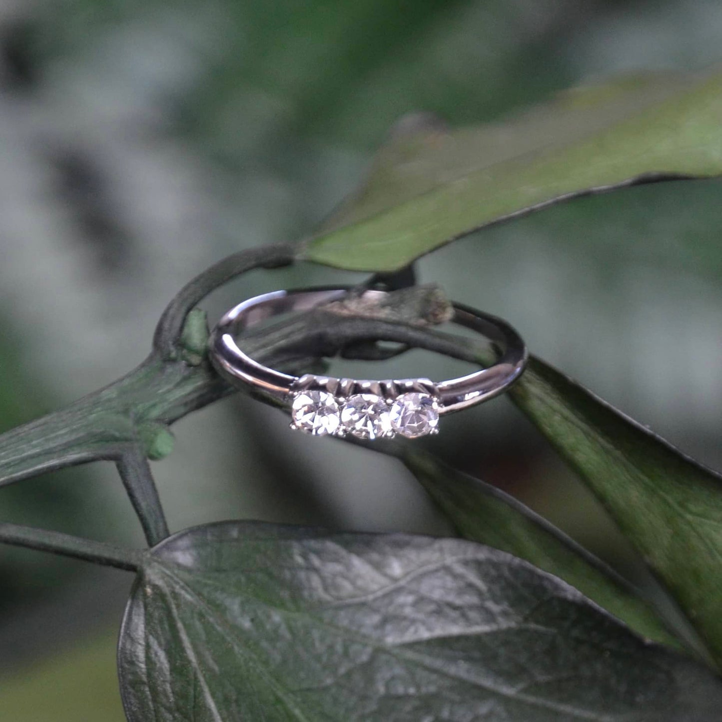 Bague Immortelle